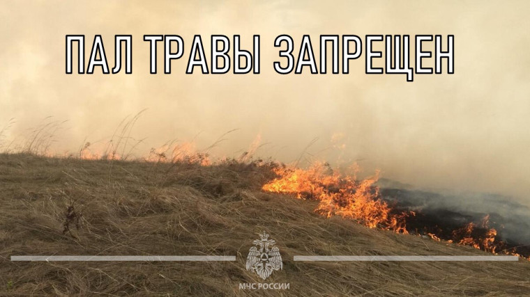 В Скадовском МО действует особый противопожарный режим! Что запрещено?. В Скадовском МО действует особый противопожарный режим! Что запрещено?.